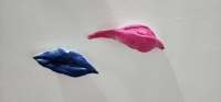 255_1010.jpg